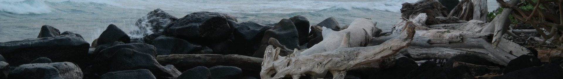 found footage video.art